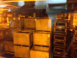 Now they store the bottles in Gyrating crates that move the yeast ever so slowly to the tip top of the bottle.  Much easier than hand turning all of those racks...