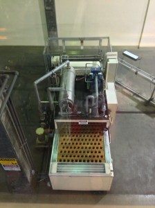 This is where they freeze the tip and pull out the yeast